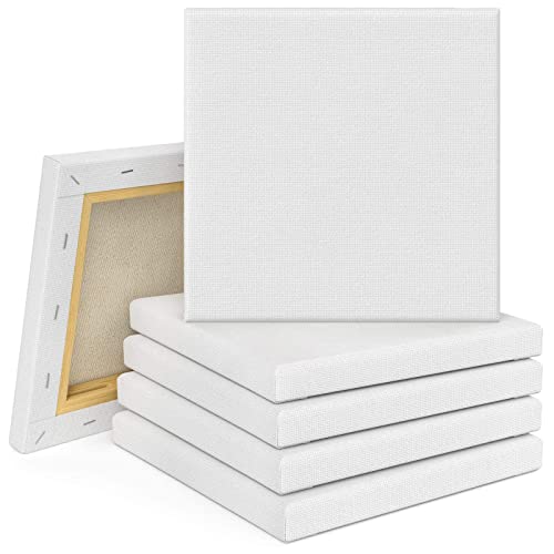 Tebery Set Da 10 Tele Per Pittura/Tele D’Artista Intelaiate/ 20 X 20Cm / Tele Prestirate 100% Cotone/Vuote/Prive Di Acidi/Grana Media