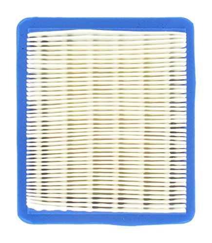 Greenstar 27698 - Filtro Aria B&S 491588S (F1425)