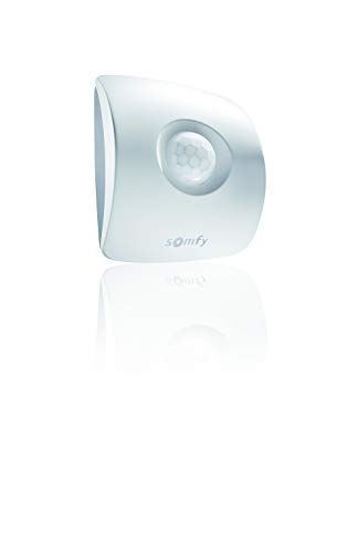 Somfy 2401361 Sensore Di Movimento Per Tahoma, Bianco/Grigio