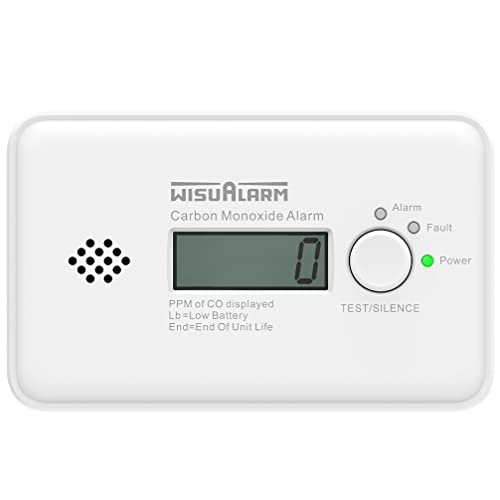 Rilevatore Di Monossido Di Carbonio, Allarme Monossido Di Carbonio Con Batteria Da 10 Anni, Allarme Co Con Display Lcd E Pulsante Test/Silenzio Confor