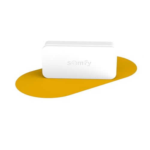 Somfy 2401487 - Intellitag | Rilevatore Di Vibrazioni Autoschermato Per Interni O Esterni | Rilevamento Pre-Apertura | Compatibile Somfy Uno (+) E Som