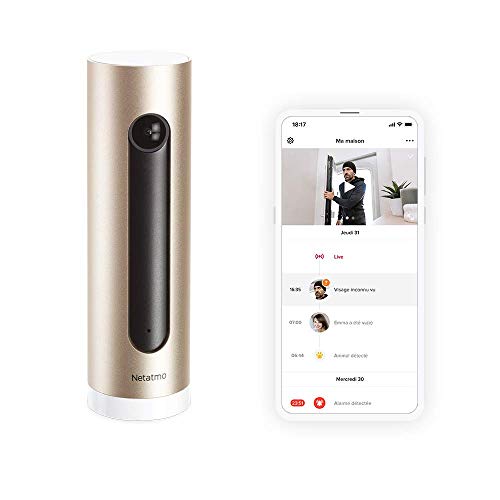 Netatmo Telecamera Di Sorveglianza Intelligente Per Interni, Wifi, Rilevazione Di Movimento, Visione Notturna, Nessun Abbonamento, Nsc01-Eu
