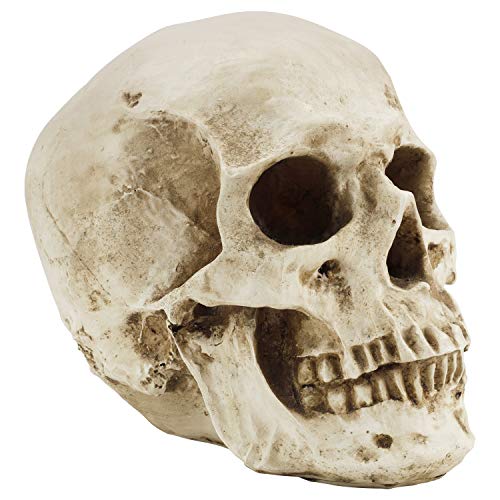 Kurtzy Teschio Umano - L12 X L17 X A14,5 Cm - Teschio Decorativo Scheletro Umano Realistico In Resina A Grandezza Naturale - Teschio Soprammobile Per