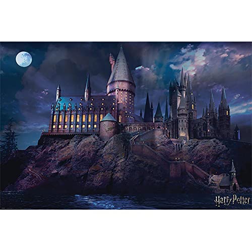 Wizarding World Poster (10C) Harry Potter Hogwarts (61X91,5)