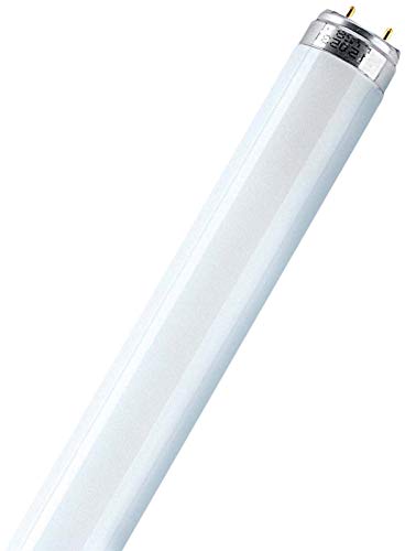 Osram L36W/865, Leuchtstoffröhre, G13, Lineare