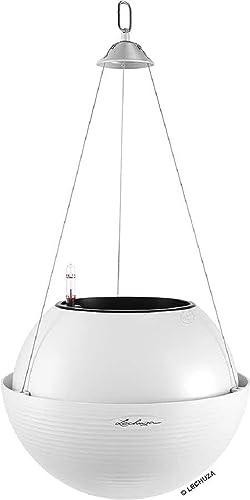 Lechuza Vaso Bola Color 32 (Bianco)