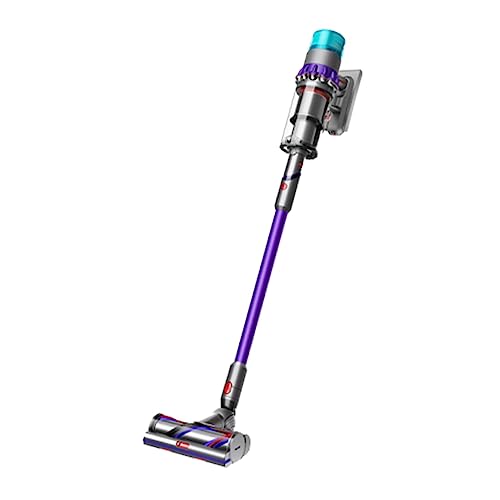 Dyson Gen5 Detect Porpora Senza Sacchetto