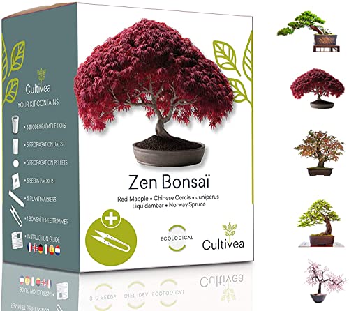 Cultivea Mini - Bonsai Ready-To-Grow Kit - Semi Francesi 100% Ecologici - Giardino E Decorazione - Idea Regalo (Mela Rossa, Cercis Cinese, Ginepro, Li
