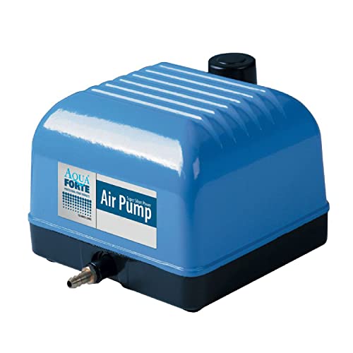 Aquaforte Hi-Flow V-10 - Pompa Da Aria, Serie V