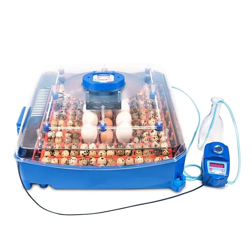 Borotto Lumia 56 Expert - Incubatrice Per Uova Professionale Brevettata, Materiale Termoisolante Con Antibatterico, Con Umidificatore Automatico Sirio