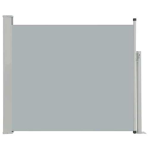 Vidaxl Tenda Laterale Retrattile Da Patio 100X300 Cm Grigio