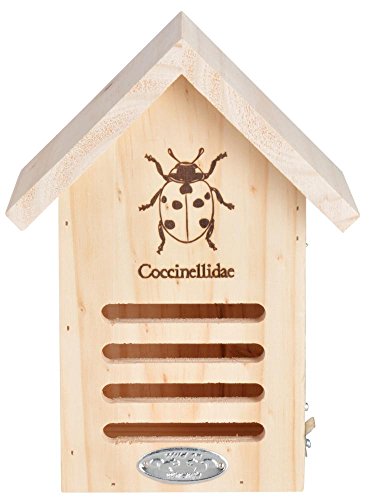 Esschert Design Wa37 Coccinella Casa Con Disegno A