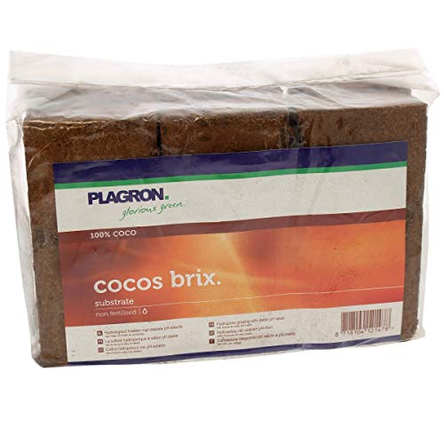 Plagron Cocos Brix - Confezione 6 Mattoni In Fibra Di Cocco Pressato