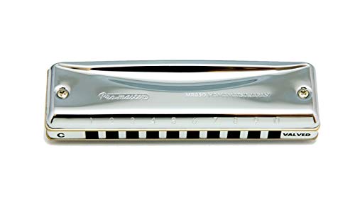 Suzuki - Armonica A Bocca Promaster A 10 Fori, Con Valvole, In Chiave Di Do