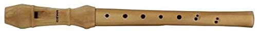 Aulos 700190 Flauto Soprano In Do Natura Diteggiatura Barocca, Con Astuccio, Spazzolino, Tavola Diteggiatura