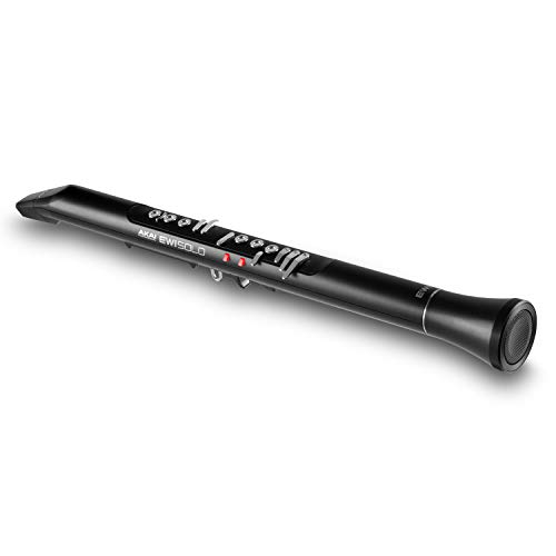 Akai Professional Ewi Solo - Strumento A Fiato Elettronico Con Cassa Integrata, Batteria Ricaricabile, 200 Suoni E Connettività Usb