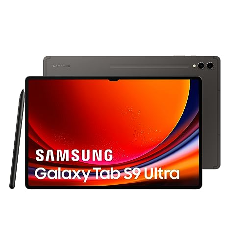 Samsung X910N Galaxy Tab S9 Ultra Wi-Fi 256 Gb (Grau) 14