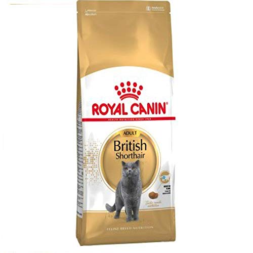 Royal Canin British Shorthair Cats Dry Food 2 Kg Adult