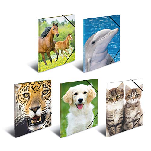 Herma 7147 - Cartellina Portadocumenti, Formato Din A4, In Plastica Resistente, Con Alette Interne Stampate Ed Elastico, Per Bambini, Ragazzi E Ragazz