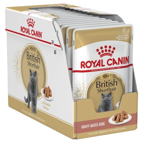 Royal Canin British Shorthair Packet 12X85G