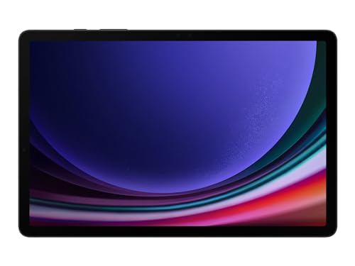 Samsung Galaxy Tab S9 Sm-X716B 5G 256 Gb 27,9 Cm (11") Qualcomm Snapdragon 12 Gb Wi-Fi 6 (802.11Ax) Android 13 Grafite
