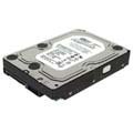 Western Digital Wd Re3 Wd7502Abys - Disco Rigido Interno Da 750 Gb, 3,5", Sata-300-7200 Rpm, Buffer: 32 Mb