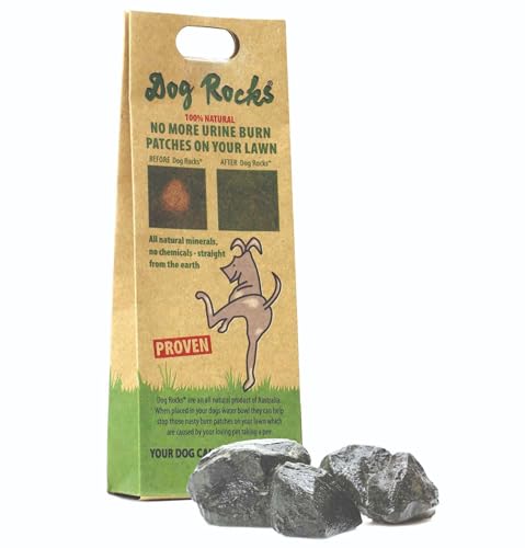 Dog Rocks Preventer Di Urina Per Cani, 200G