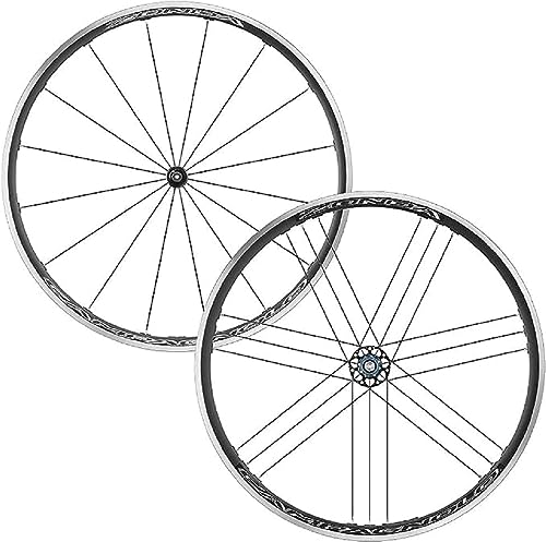 Campagnolo Zonda C17, Ruota Unisex Adulto, Bright Label, Taglia Unica