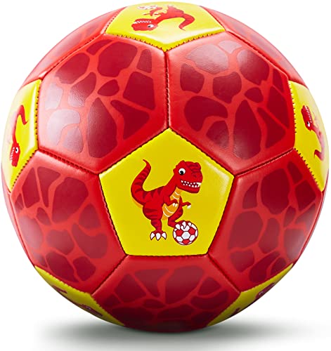 Hahaland Pallone Da Calcio Con Pompa E Borsa Rete, Pallone Bambini Per Allenamento Giochi Esterno Per Bambini 3 4 5 6 7 Anni, Taglia 3 - Dinosauro