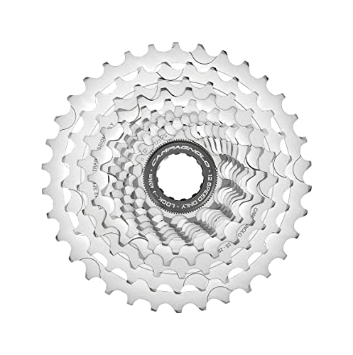 Campagnolo Chorus 12V. 11-34, Pacco Pignoni Unisex Adulto, Kl574P Sweatshirt - Bambini, Taglia Unica