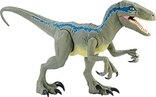 Jurassic World- Dino Rivals Velociraptor Blu Dinosauro Articolato Da 37 Cm, Giocattolo Per Bambini 3+Anni, Gct93