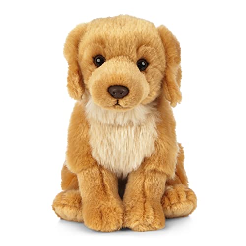 Living Nature Golden Retriever, Peluche Di Cane Morbido E Realistico, Peluche Naturli Eco-Friendly, 20Cm