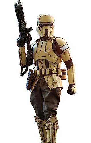Hot Toys - 1:6 Shoretrooper - Il Mandaloriano, Multicolore