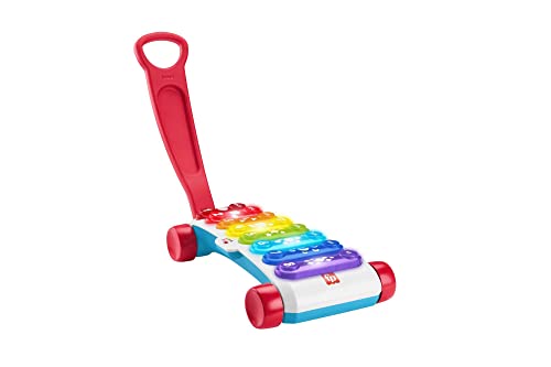 Fisher-Price Xilofono Gigante, Giocattolo Elettronico Musicale Trainabile Con Canzoni Educative, Regalo Per Bambini 9-36 Mesi, Edizione: Tedesco, Hjk3
