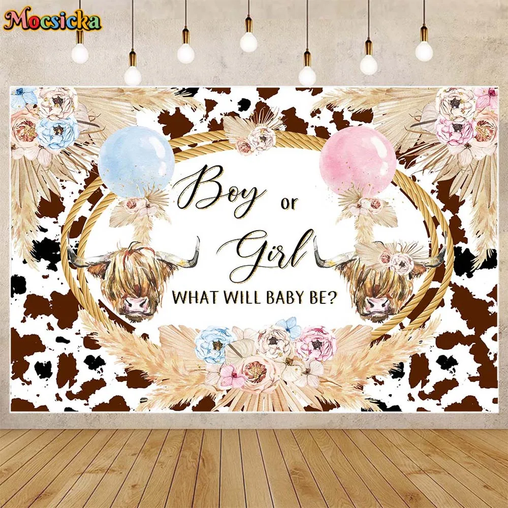 Mocsicka Highland Cow Gender Reveal Fondale Boho Balloon Pampas Grass Boy O Girl Party Decor Photo Background Photoshoot Puntelli
