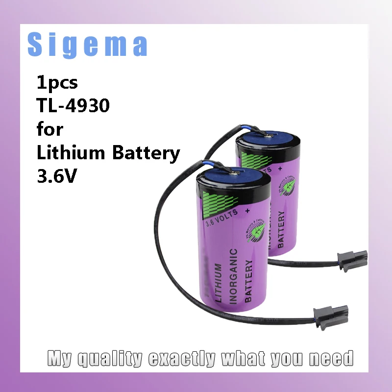 Tl-4930 Per Misuratore Di Acqua/Gas/Elettricità Batteria Di Backup Memery 3.6V Batteria Al Litio Tl-5930 Ls33600 D