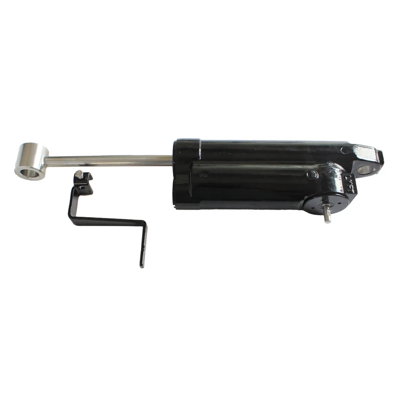 Muslimboard Manuale Singolo Ram Power Tilt Trim Unit Per Yamaha Parsun Hidea Powertec 60Hp E60H(69 D2)