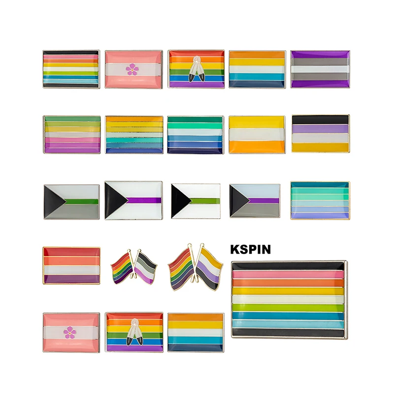 Demisessual Pride Flag Grey Pride Alloromantic Asessual Pride Rainbow & Asessual Flag Spilla Distintivo Spilla Icone