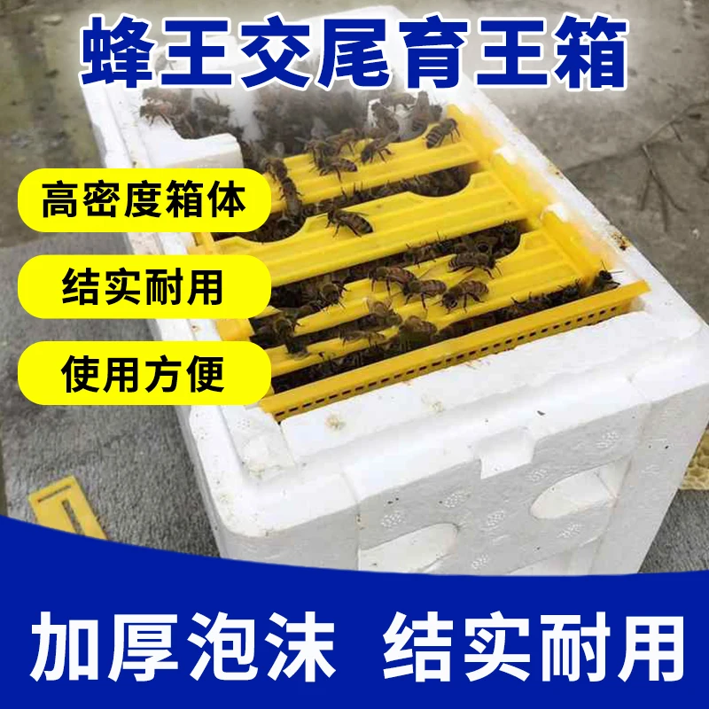 Schiuma Bee King Box Queen Bee Hand Tail Box Isolamento A Tre Telai Hive King Bee Tipo Speciale Strumenti Per L'Apicoltura