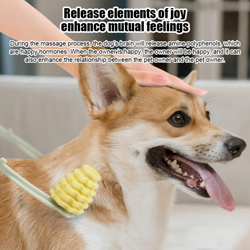 Strumento Di Massaggio Animali Domestici Rullo Per Gambe Viso Sottile Per Cucciolo Gattino Cane Migliora La Circolazione Sanguigna Spazzola Per Massag