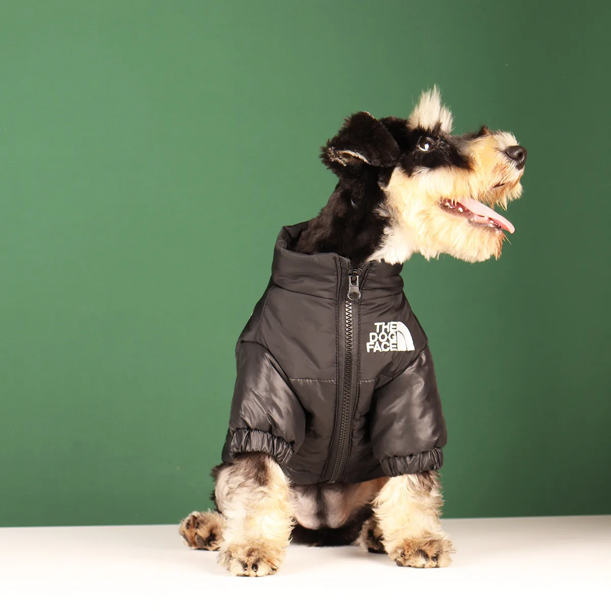 New Pet Warm Dog Face Cotton Coat Small And Medium Dog Tide Coat Embroidered Coat Dog Cat Clothes