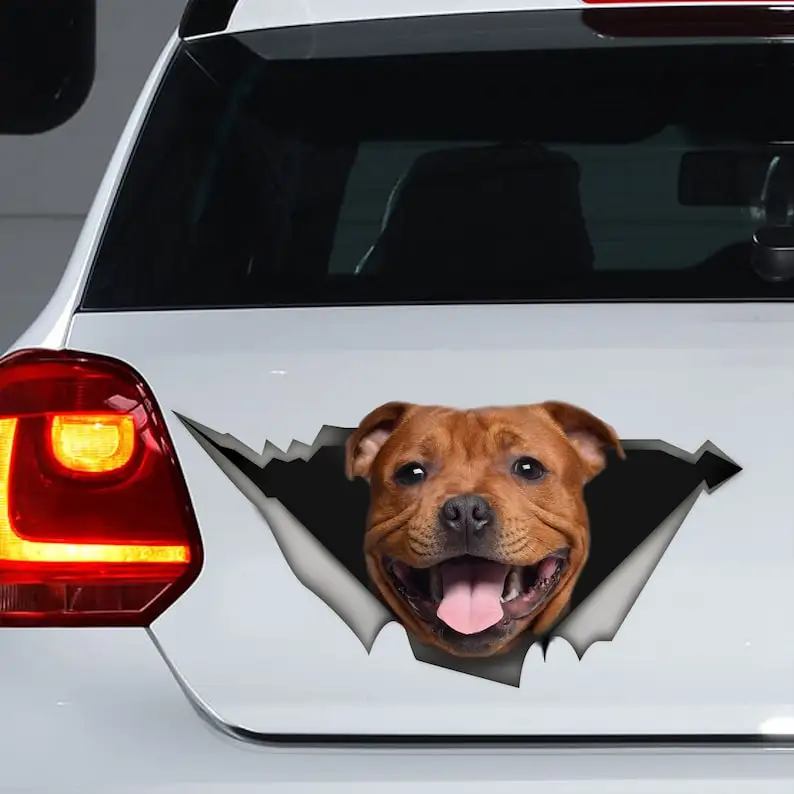 Stafter Bull Terrier Decalcomania Per Auto, Stafter Bull Terrier Stafstafter Bull Terrier Sticker, Stafter Bull Terrier Magnet, Staffy Decal, Staff