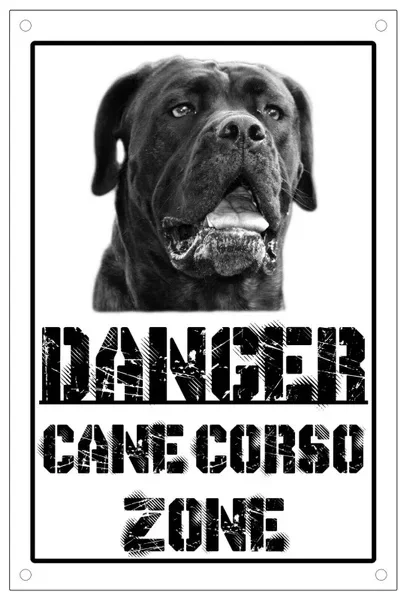 Metal Tin Sign Pericolo Dog Zone Plate Sign 8X12 Pollici Metal Watch The Dog Metal Sign 8X12 Pollici Home Kitchen Outdoor Wall Decor