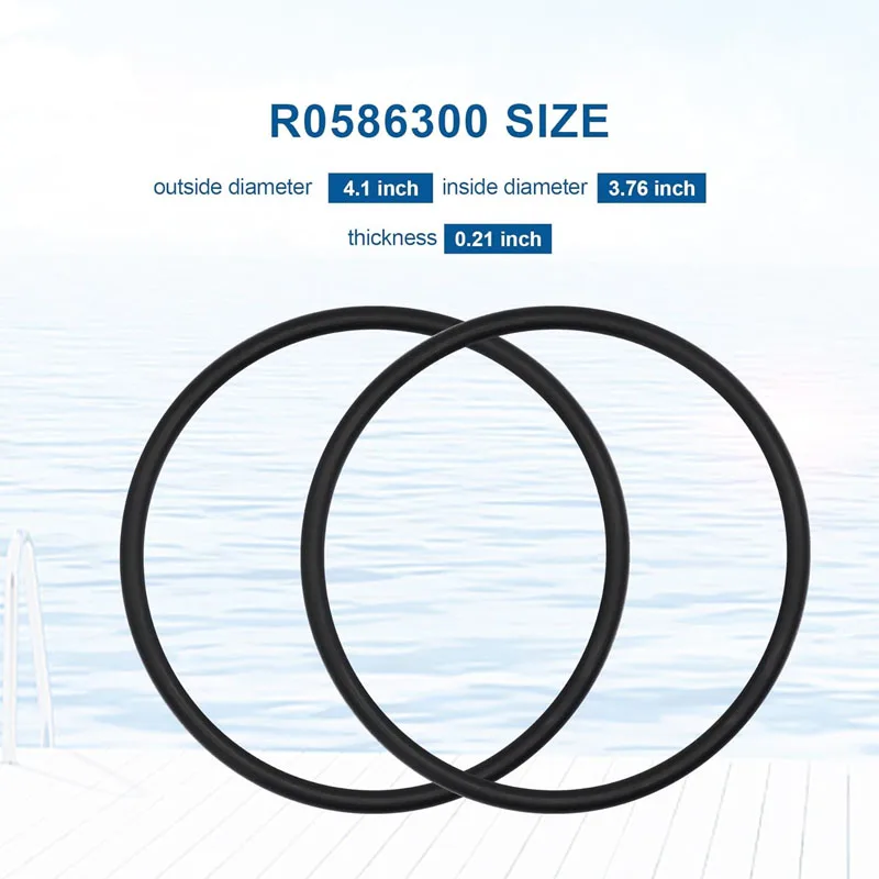 R0586300 O-Ring Con Collare Viton Grande Adatto Per Zodiac Nature 2 Fusion, Fusion Soft, Interrato, Vision Fuori Terra, Altro