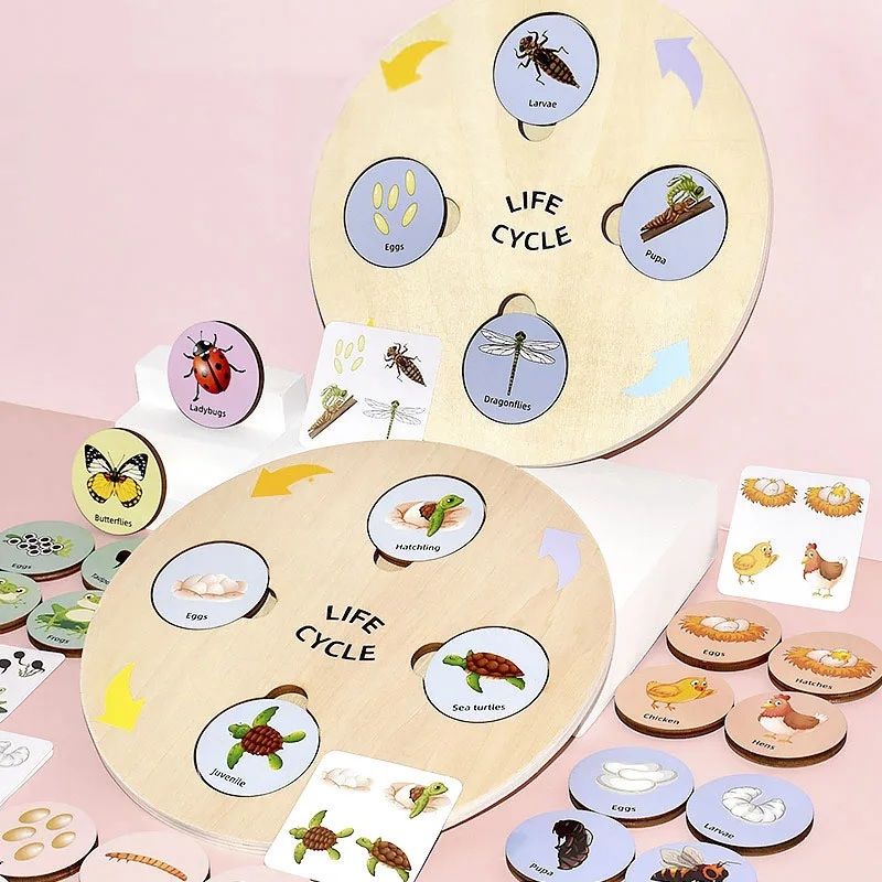 Giocattolo In Legno Life Cycle Board Kit Montessori Biologia Scienza Educazione Giocattoli Per Bambini Vassoio Sensoriale Figura Animale Smistamento D