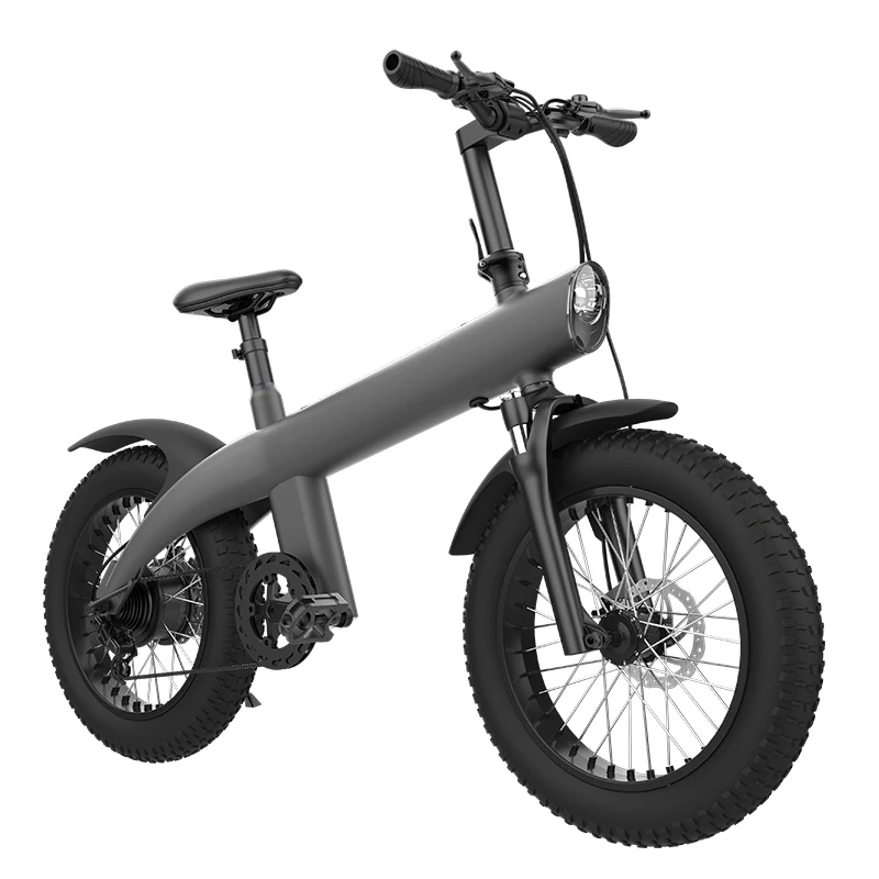 Fat Tire Bike 20 Pollici 7 Velocità Mountain Bike 48 V750W Beach Snow Bike Bici Elettrica Per Adulti Cruiser Bici Elettrica