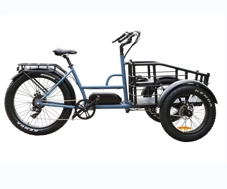 Bici Da Carico Bicicletta Elettrica E-Bike 48V 500W Triciclo Trike