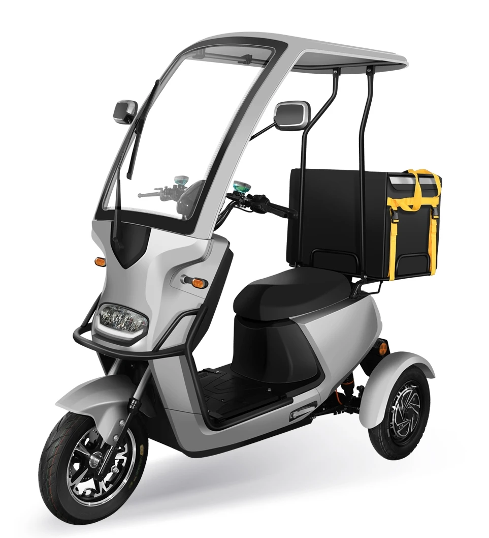 Cina Wuxi Triciclo Elettrico 3 Ruote Moto Triciclo A Tre Ruote Per Disabili