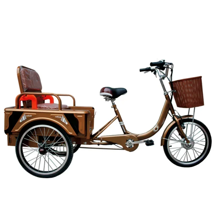 La Fabbrica Ha Utilizzato Direttamente La Famiglia Triciclo Da Carico Per Adulti Di Grandi Dimensioni Per Lo Shopping/Triciclo Per Adulti Con Seggioli
