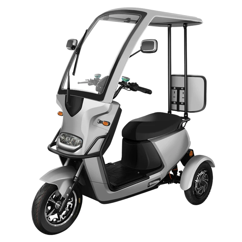 Triciclo Elettrico A Tre Ruote Per Moto A 3 Ruote Per Disabili